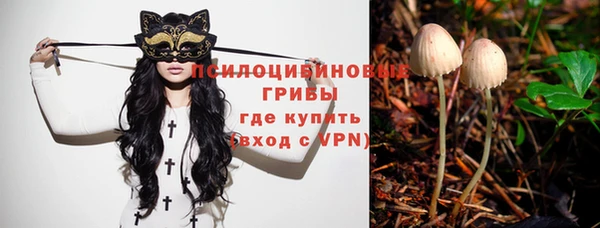 МДМА Протвино
