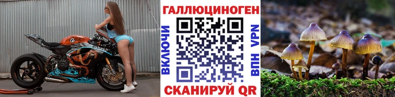 Купить Дальнереченск Псилоцибиновые грибы прущие грибы