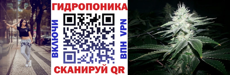 Купить где Дальнереченск Бошки марихуана план